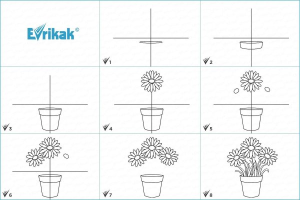 Рисование комнатыхцветов