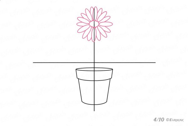 Рисование с натуры цветочного горшка с растением.