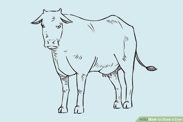Как нарисовать корову для детей