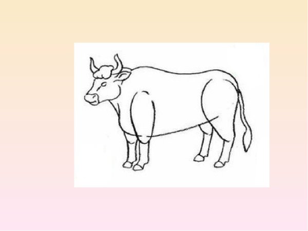 Корова схематический рисунок