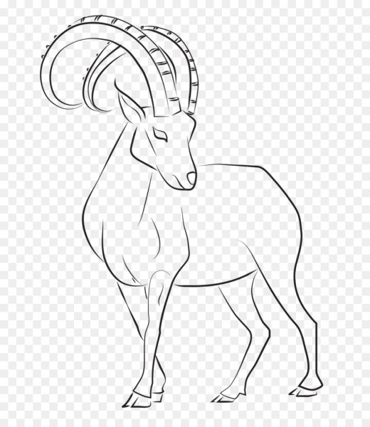 Козел карандашом