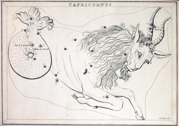 Созвездие козерога рисунок
