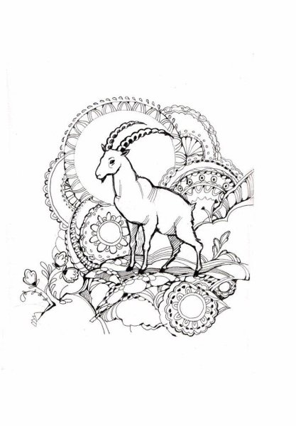 Козерог раскраска