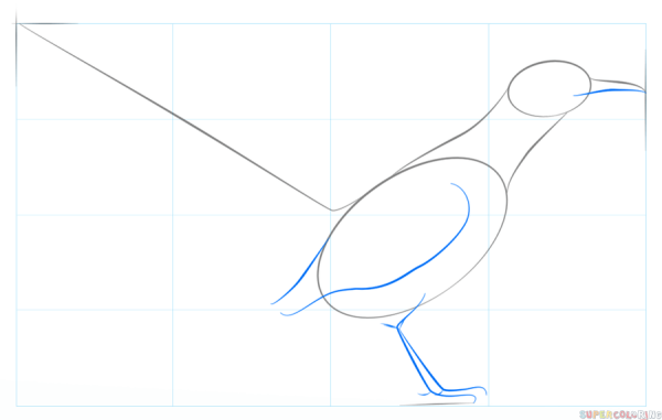 Поэтапный рисунок кукушки