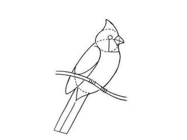 Нарисовать кукушку поэтапно