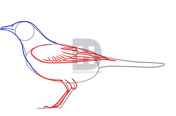Поэтапное рисование жаворонка для детей
