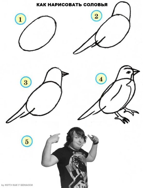 Птицы последовательное рисование