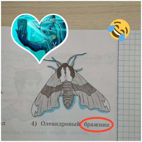 Олеандровый Бражник раскраска