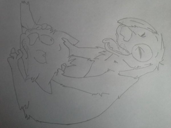 Рисунок котопса карандашом