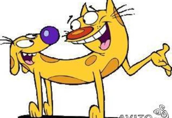 Котопес Лола карикола