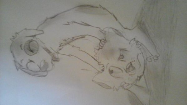 Поэтапное рисование котопса