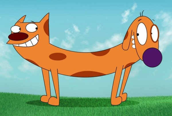 Котопес мультфильм кот