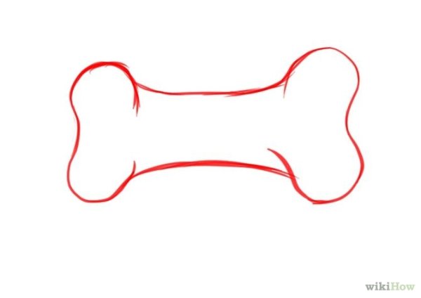 Косточка рисунок карандашом