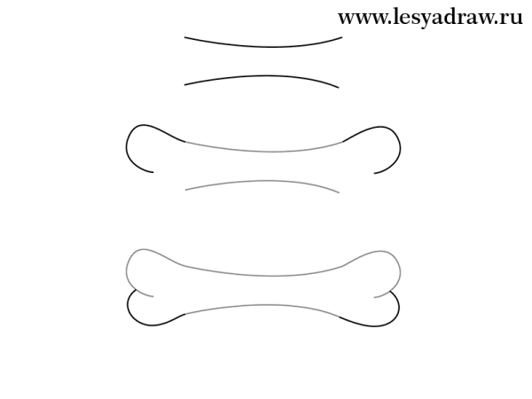 Как нарисовать косточку