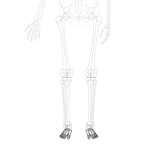Кости рисунок карандашом