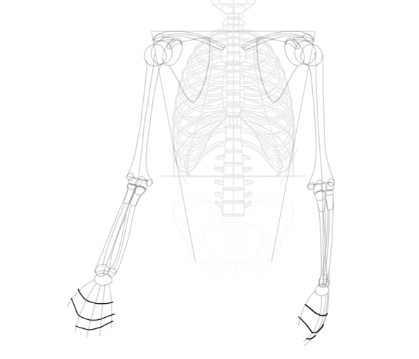 Скелет для рисования аниме