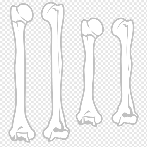 Кости для костюма Кощея