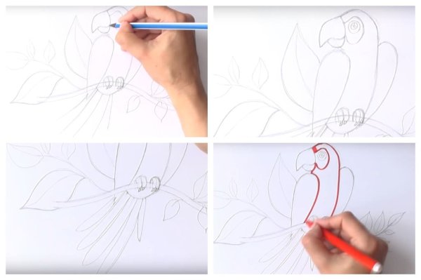 Рисунки поэтапно