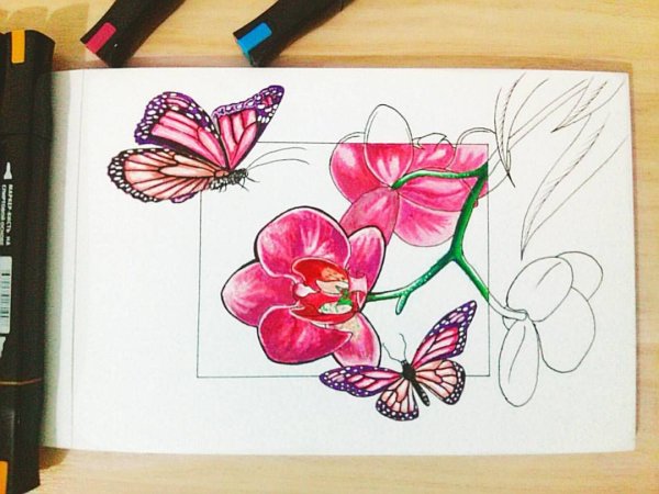 Цветы фломастерами простые