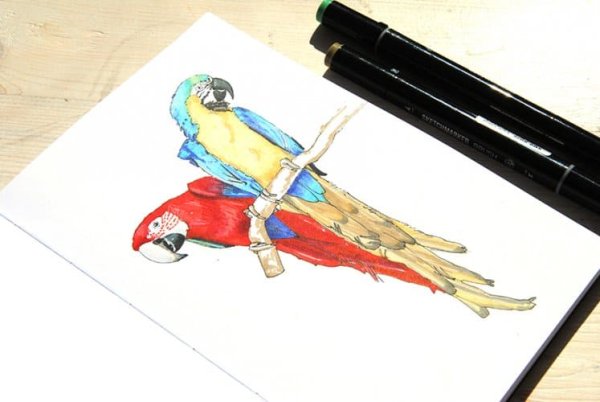 Рисунки маркерами попугай