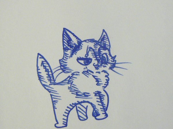 Кот синей ручкой