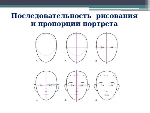 Последовательность рисования портрета