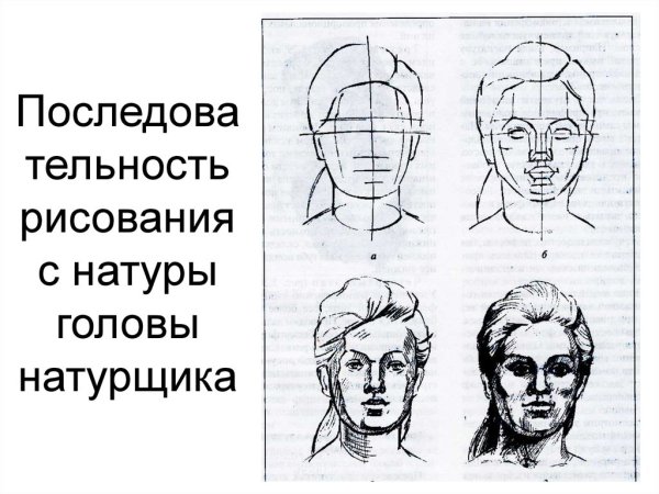 Последовательность рисунка головы