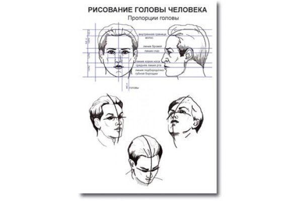 Пропорции головы человека для рисования