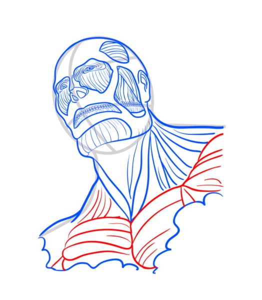 Нарисовать колоссального титана