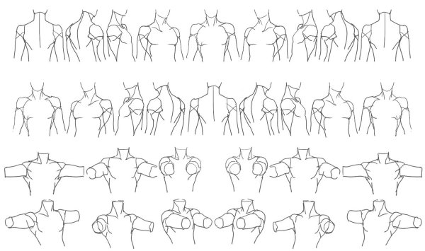 Плечи референс