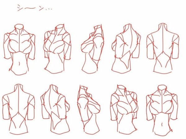 Туториалы по рисованию груди