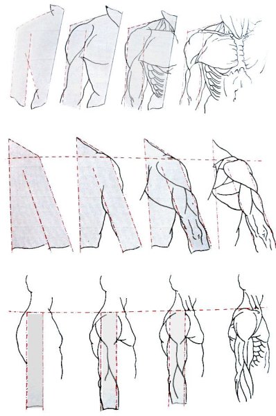 Плечи для рисования