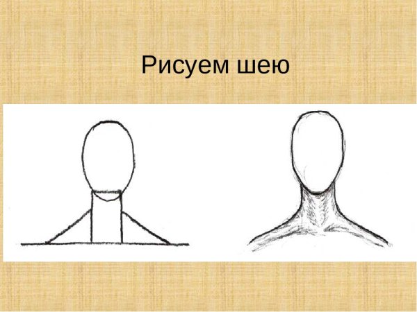 Зарисовки человеческой фигуры