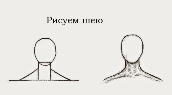 Рисование с натуры фигуры человека