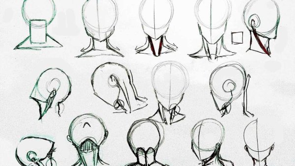 Анатомия аниме парня