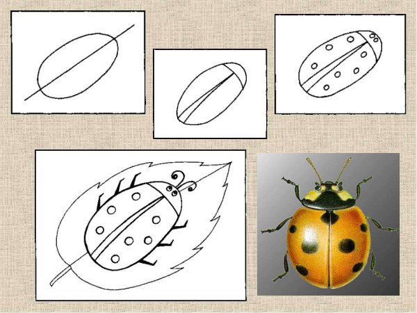 Как нарисовать Божью коровку