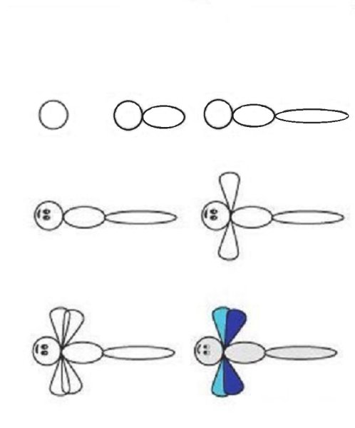 Поэтапное рисование насекомых для дошкольников