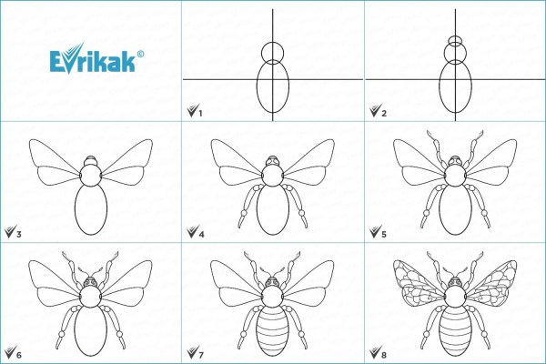 Поэтапное рисование пчелы