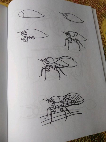 Рисование насекомые