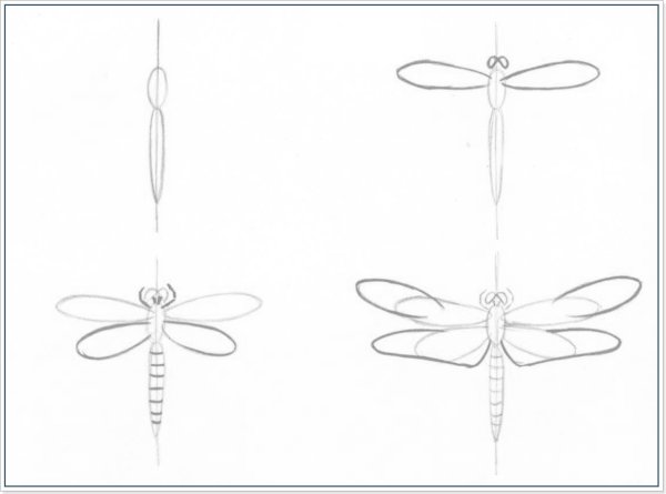 Этапы рисования Стрекозы