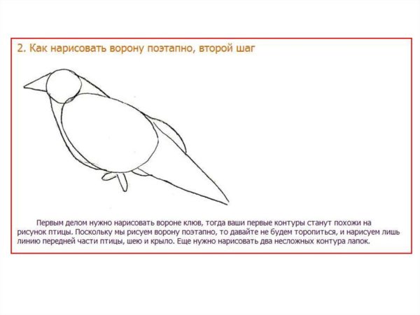 Поэтапное рисование вороны для дошкольников