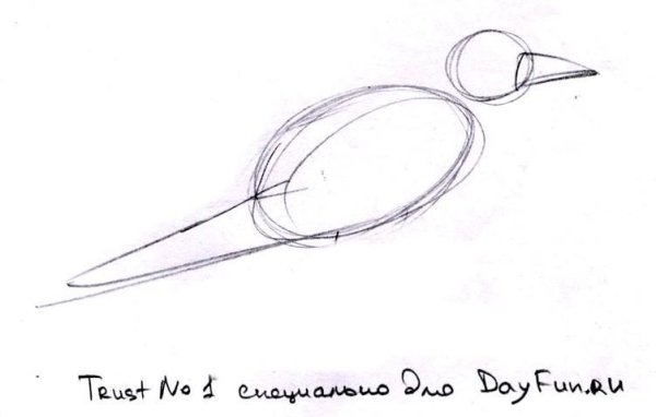 Нарисовать Грача карандашом поэтапно