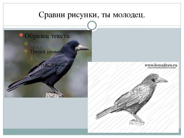 Грач поэтапно