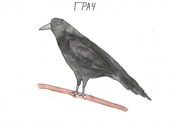 Нарисовать Грача