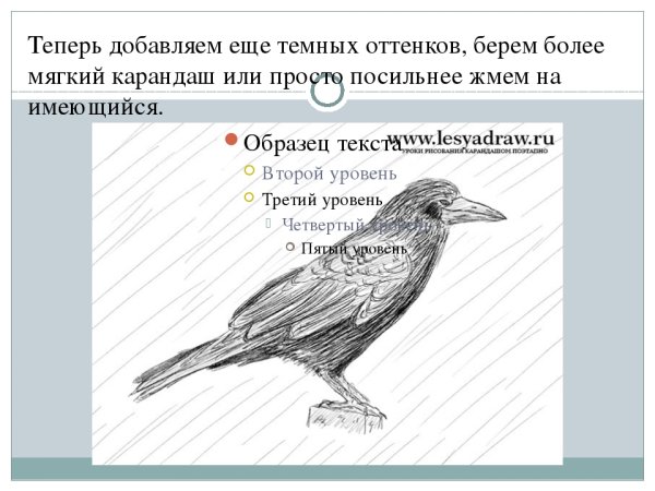 Урок изо первый класс Грач