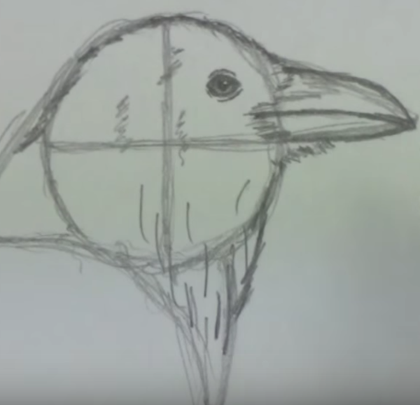 Ворона для рисования