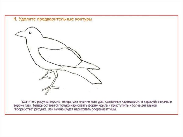 Схема рисования вороны
