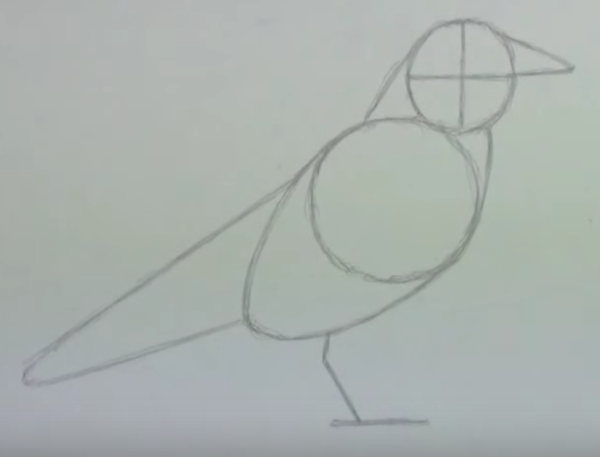 Поэтапный рисунок вороны