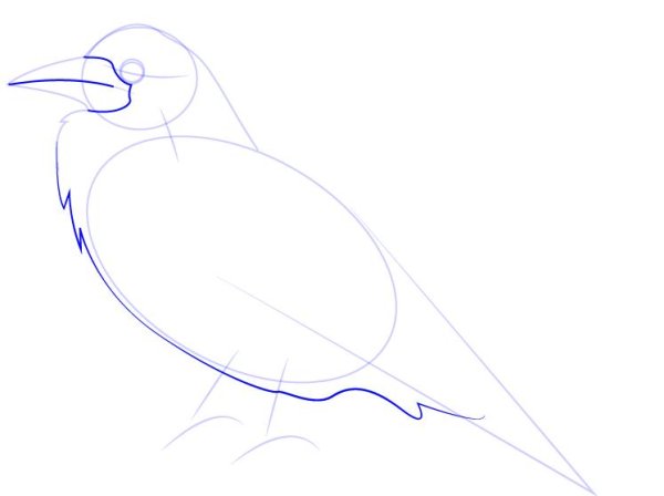 Поэтапное рисование Грача лайф