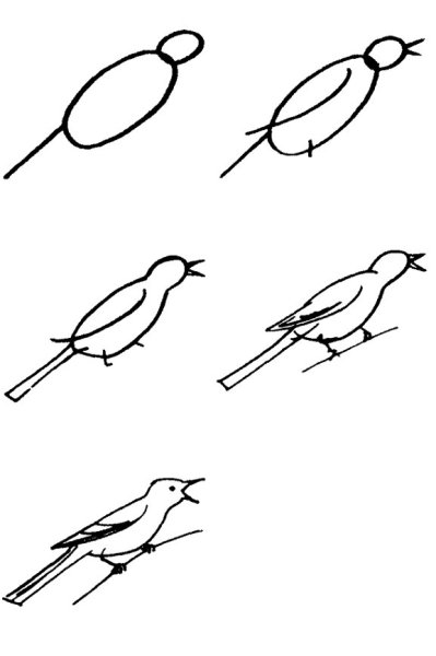 Схема рисования птиц